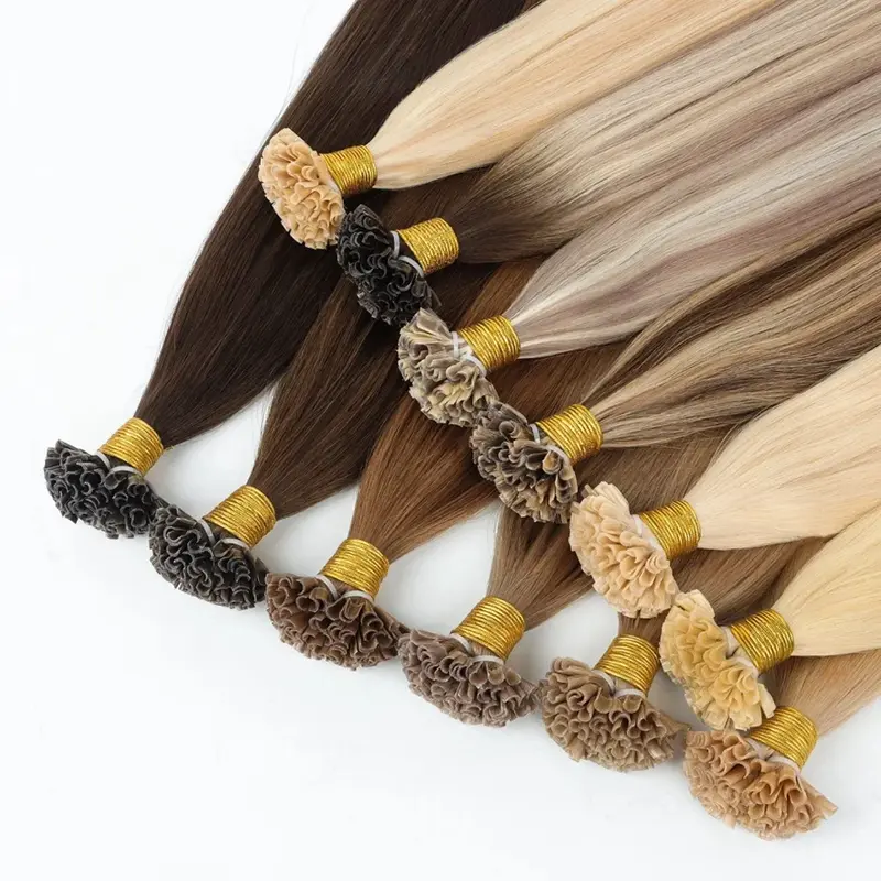 Sambungan Petua K Terbaik